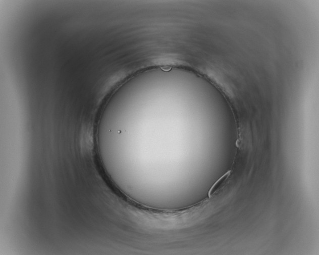 X0000111040015200907021608