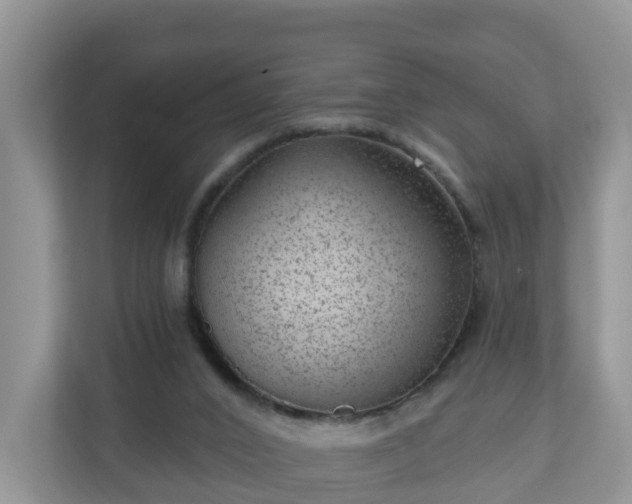 X0000111040016200907021608