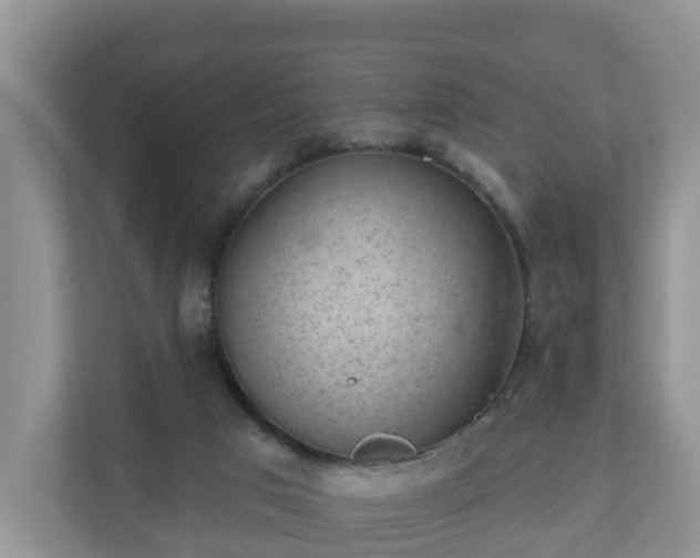 X0000111040017200907021608