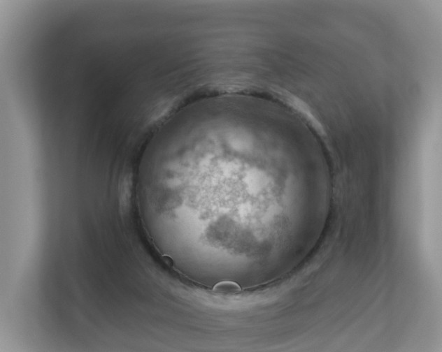 X0000111040018200907021608