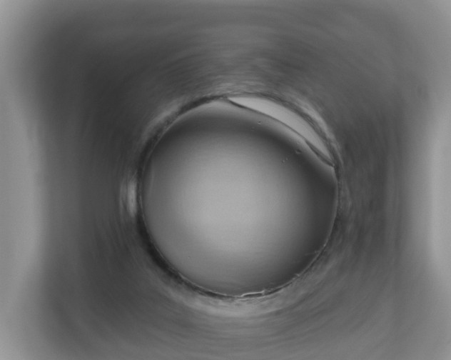 X0000111040019200907021608