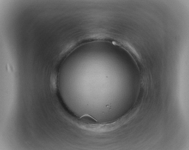 X0000111040023200907021608