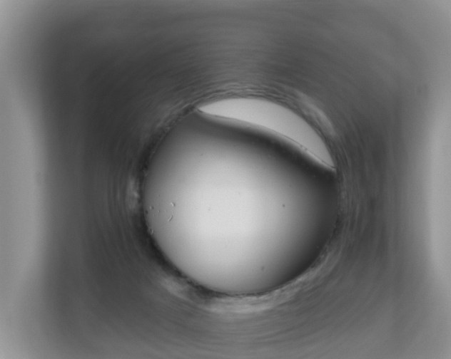 X0000111040025200907021608