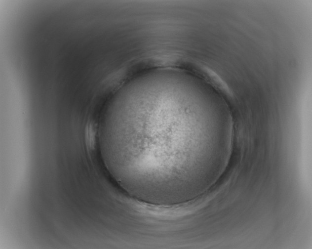 X0000111040026200907021608