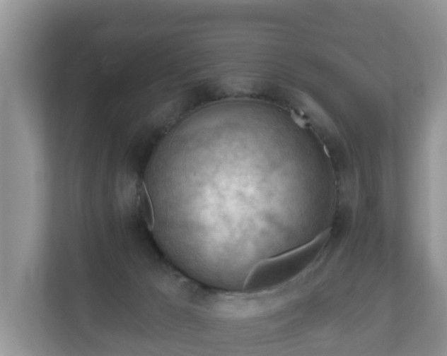 X0000111040029200907021608