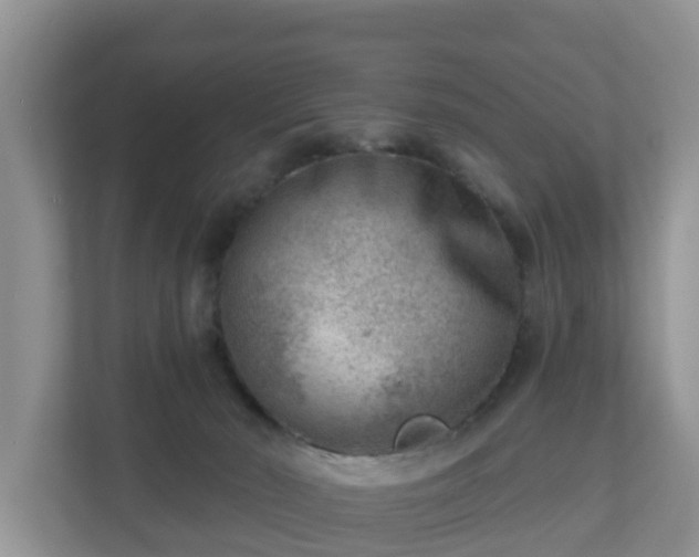 X0000111040030200907021608