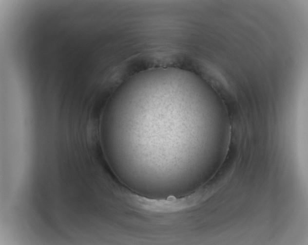 X0000111040034200907021608