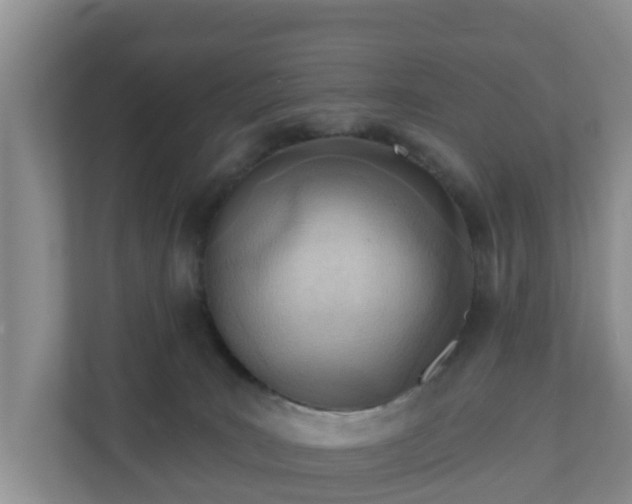 X0000111040035200907021608