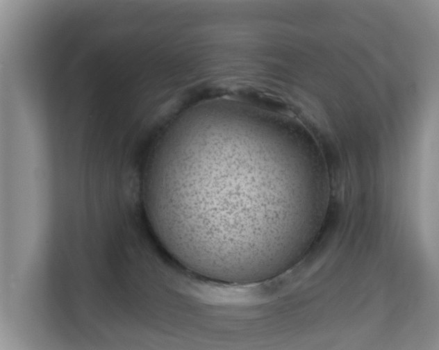 X0000111040036200907021608