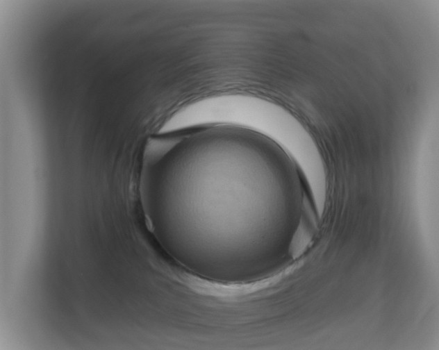 X0000111040039200907021608