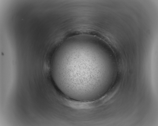 X0000111040040200907021608