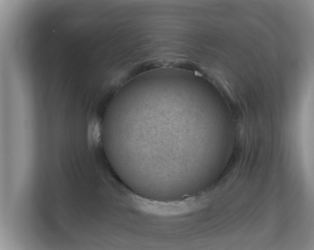 X0000111040042200907021608