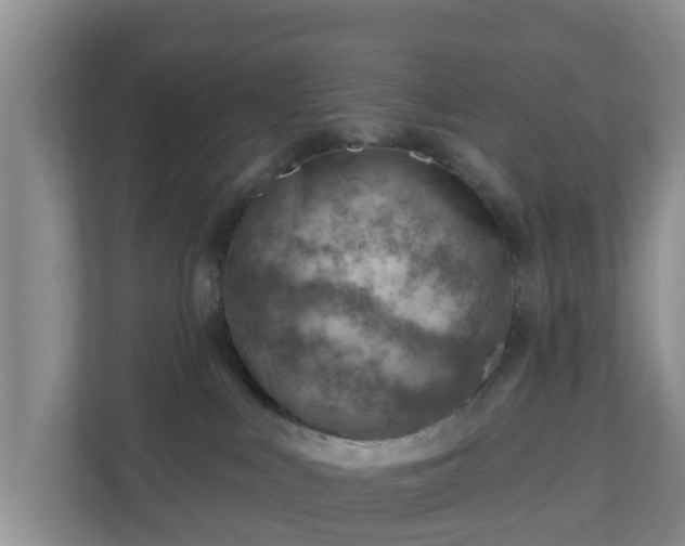 X0000111040043200907021608