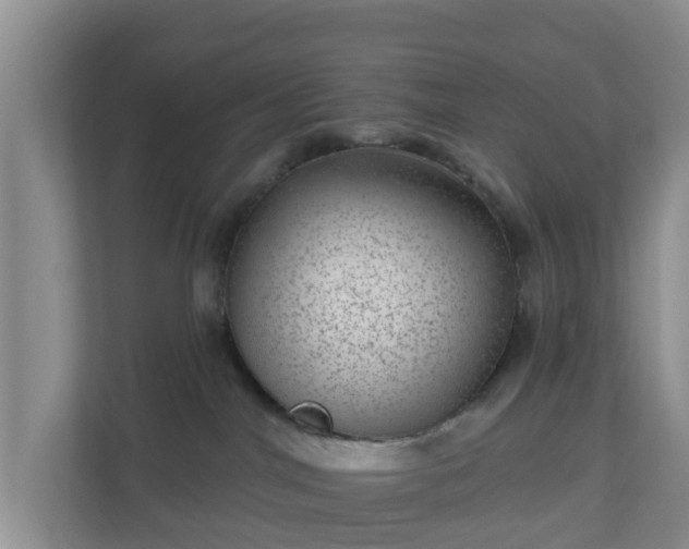 X0000111040044200907021608