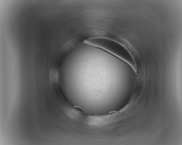 X0000111040045200907021608