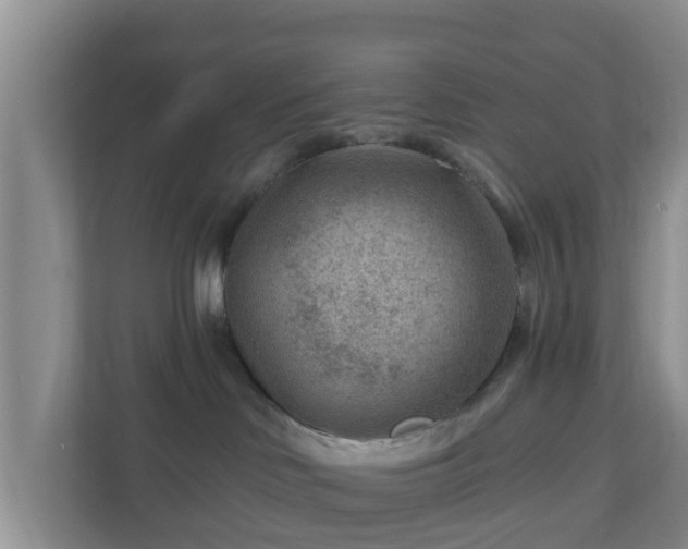 X0000111040046200907021608