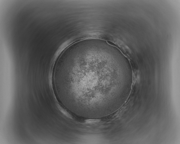 X0000111040051200907021607