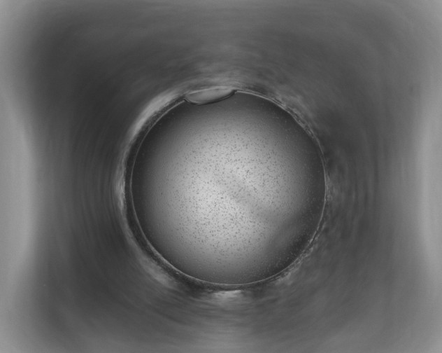 X0000111040054200907021607