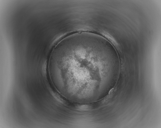 X0000111040058200907021607