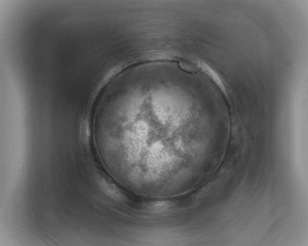 X0000111040059200907021607