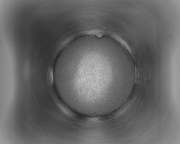 X0000111040061200907021607