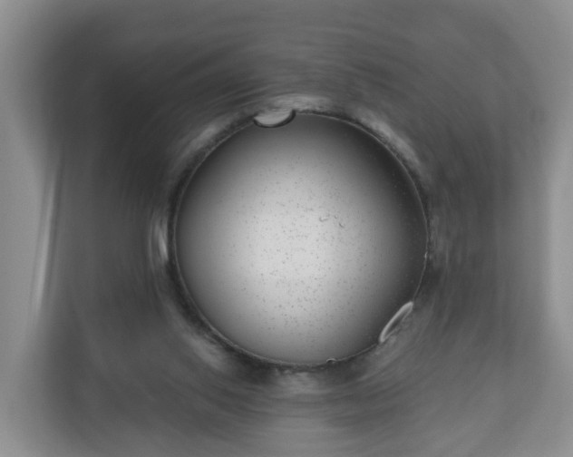 X0000111040062200907021607