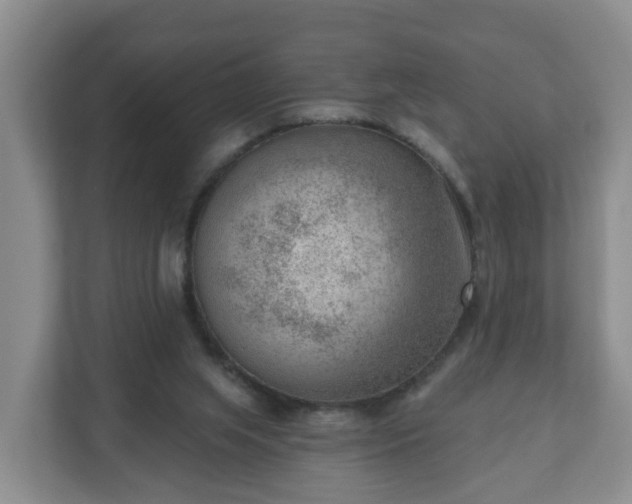 X0000111040063200907021607