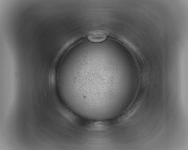 X0000111040064200907021607