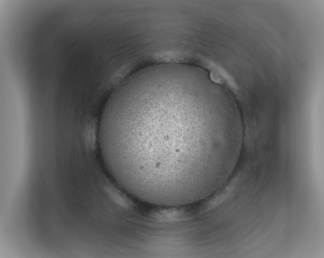 X0000111040065200907021607