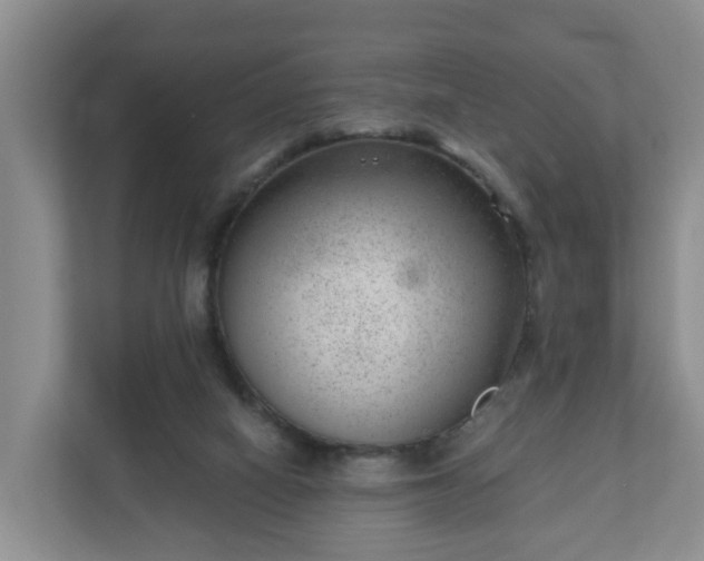 X0000111040066200907021607