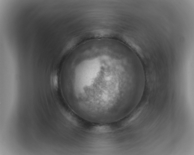 X0000111040067200907021607