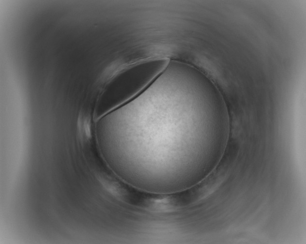 X0000111040068200907021607