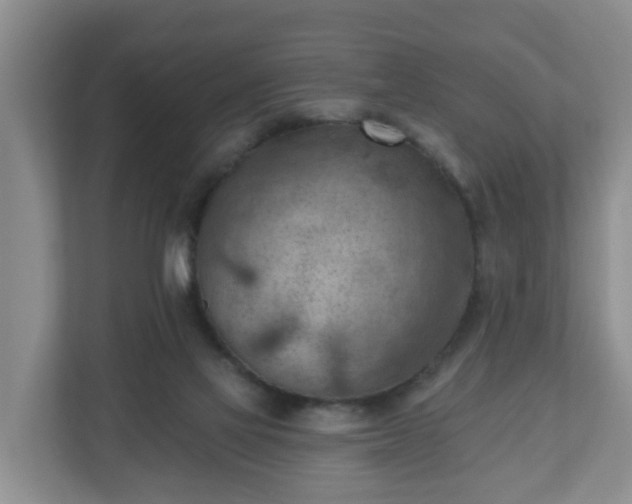 X0000111040069200907021607