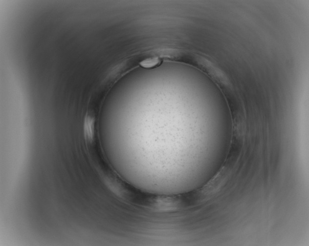 X0000111040070200907021607