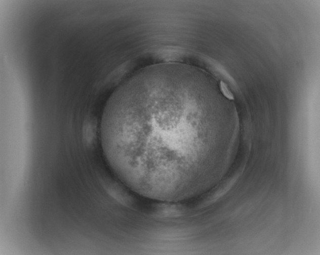 X0000111040073200907021607