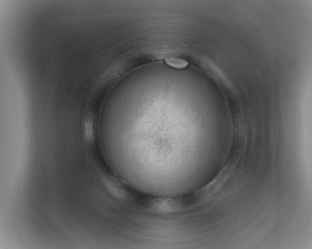 X0000111040074200907021607