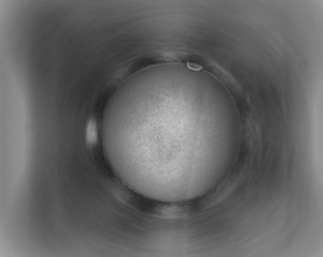 X0000111040075200907021607