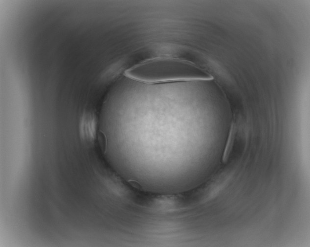 X0000111040076200907021607