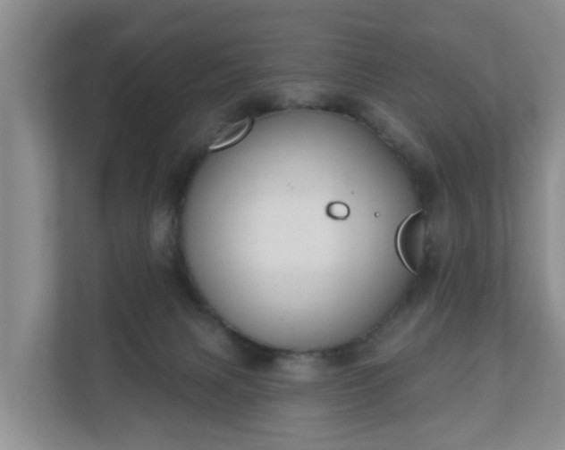 X0000111040079200907021607