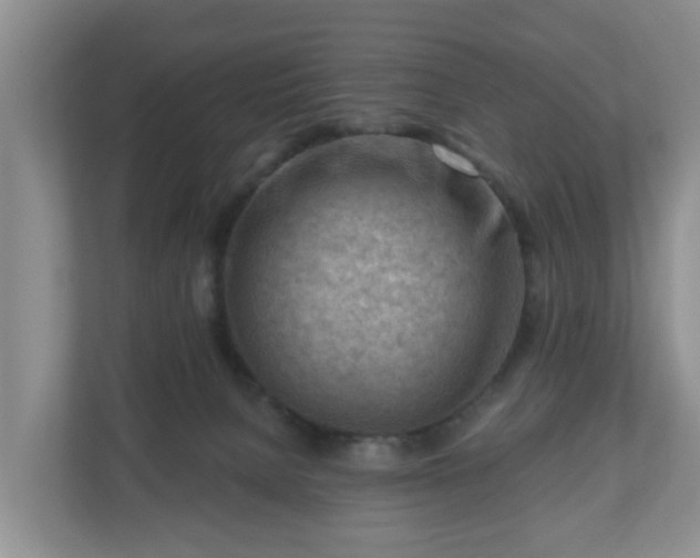 X0000111040080200907021607