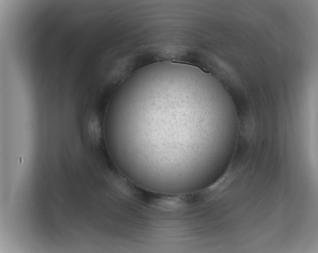 X0000111040086200907021607