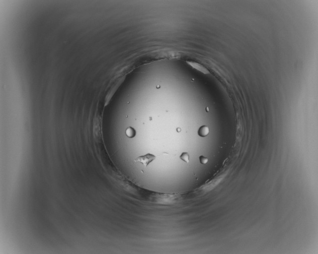 X0000111040096200907021607