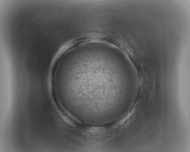 X0000111040101200907021607