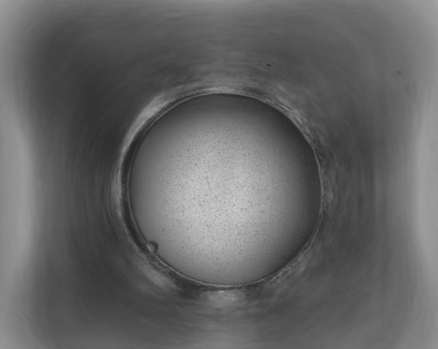 X0000111040102200907021607