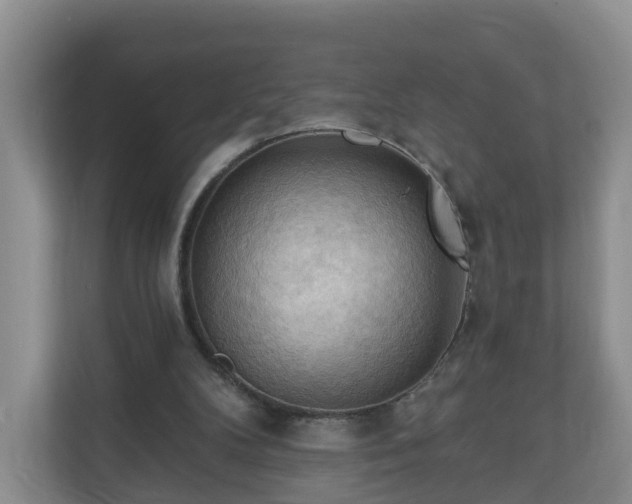 X0000111040104200907021607