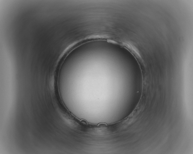 X0000111040108200907021607