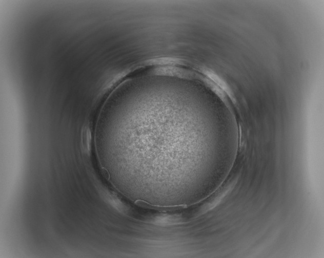 X0000111040109200907021607