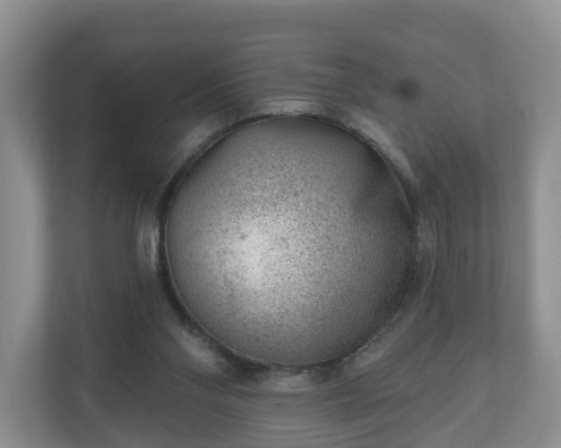 X0000111040110200907021607