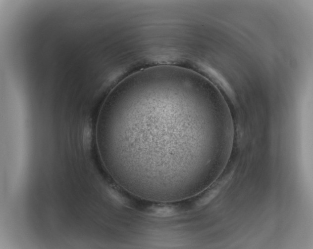 X0000111040113200907021607