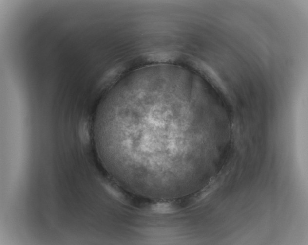 X0000111040114200907021607